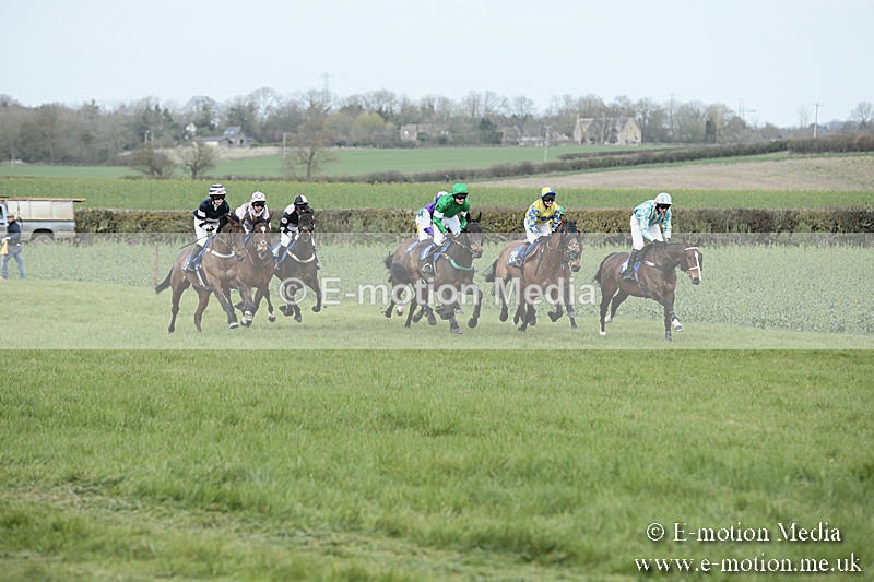 PtP 230319 135 - VWH Hunt Siddington Point-to-Point Racing 23/03/19