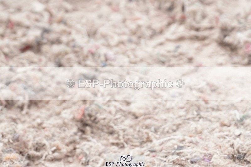 250505-120820-04294 - Cls 18+19 Club and Schools 60cm