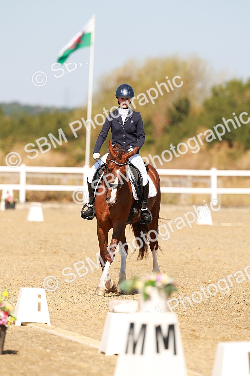 SBM_017643 - Class 9 - N5 Bronze 10.33.11.36