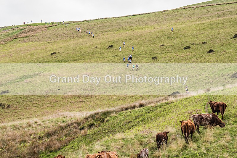 Latterbarrow-110 - Latterbarrow Loop Fell Race Wednesday 24th May 2023