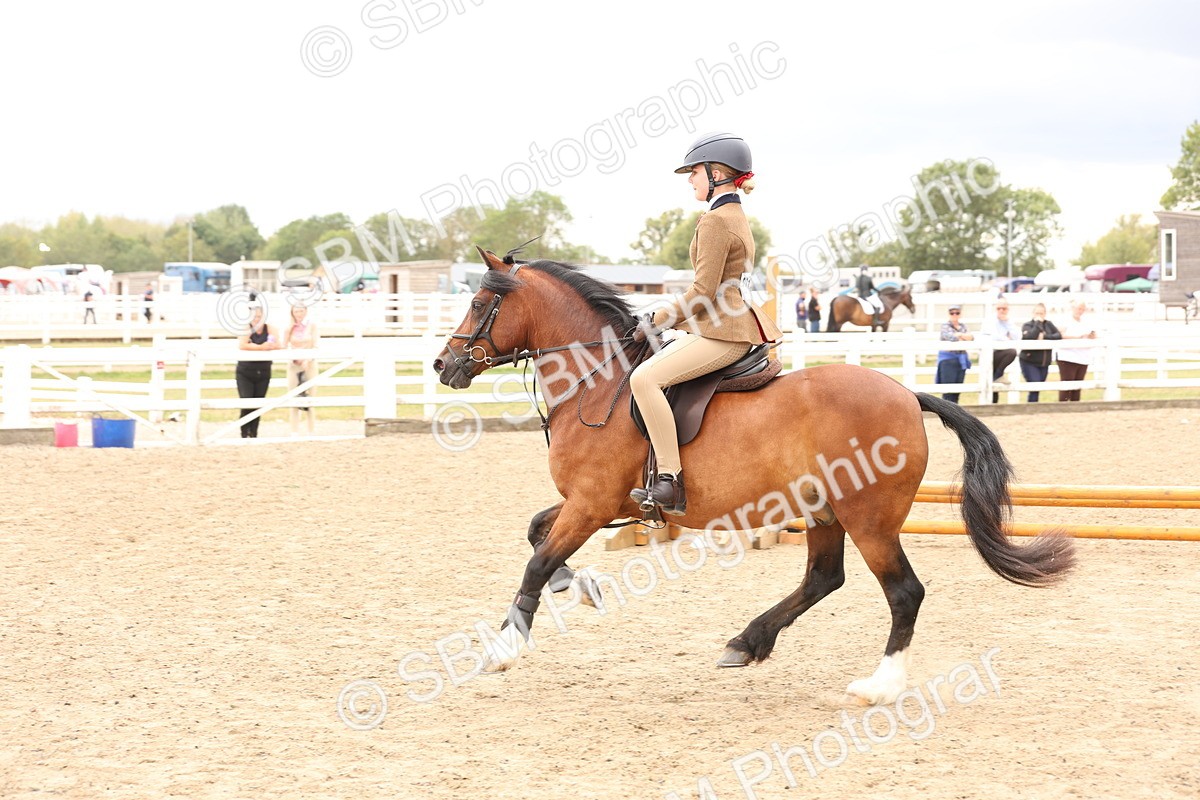 SBM_06250 - Class 57b -  Style & Performance - 60cm (20+)