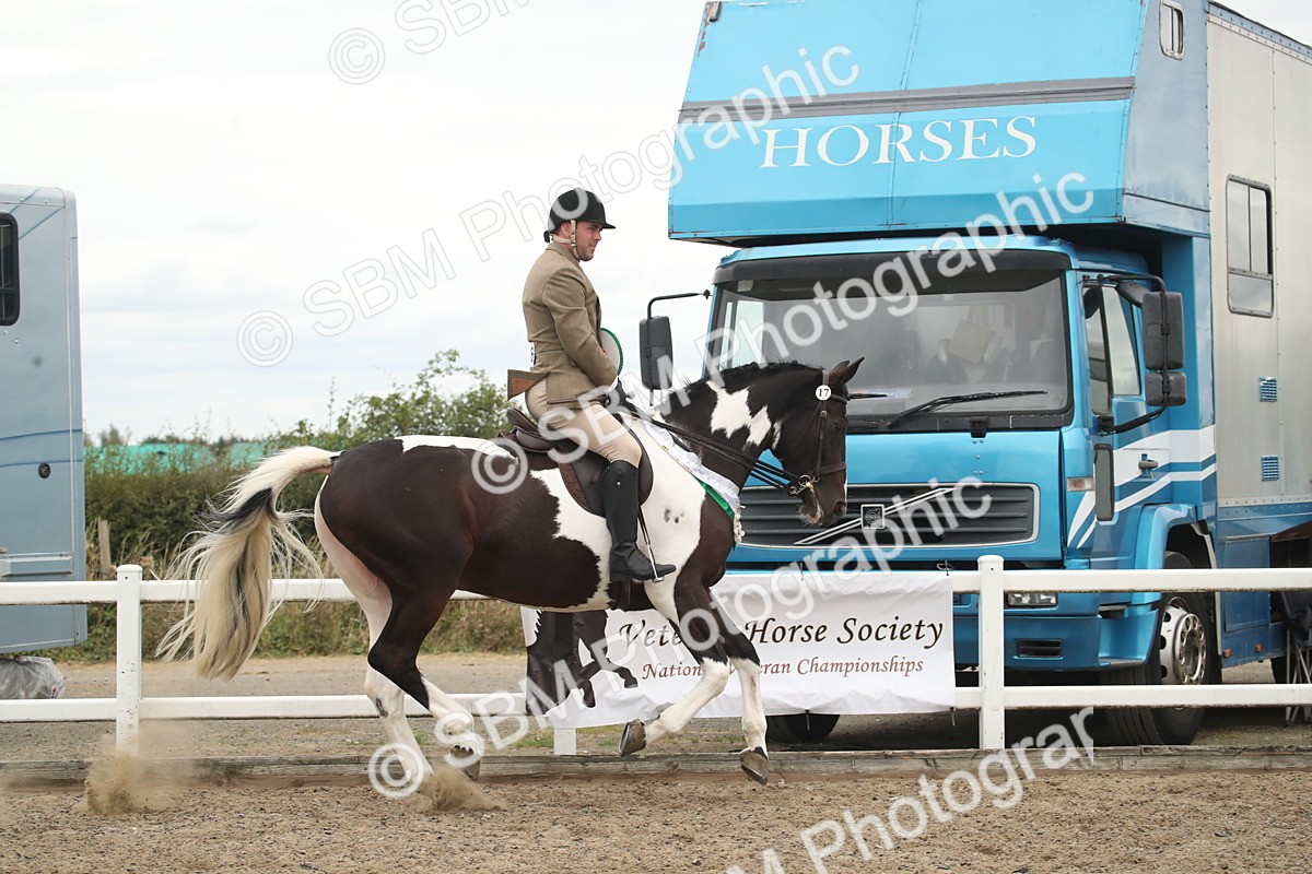 SBM_18339 - Class 509a - Working Veteran - 80cm (15-19)