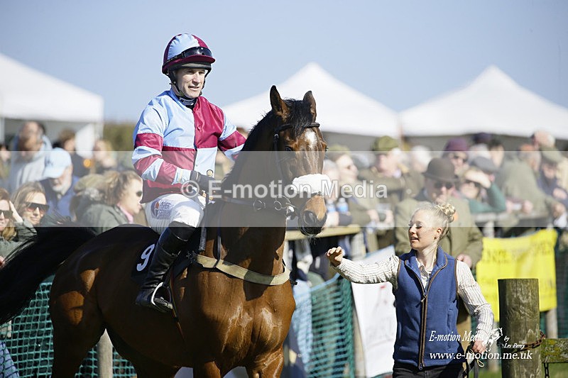 PtP 190322 469 - Wilton Hunt PtP Milborne St Andrew 19/03/22