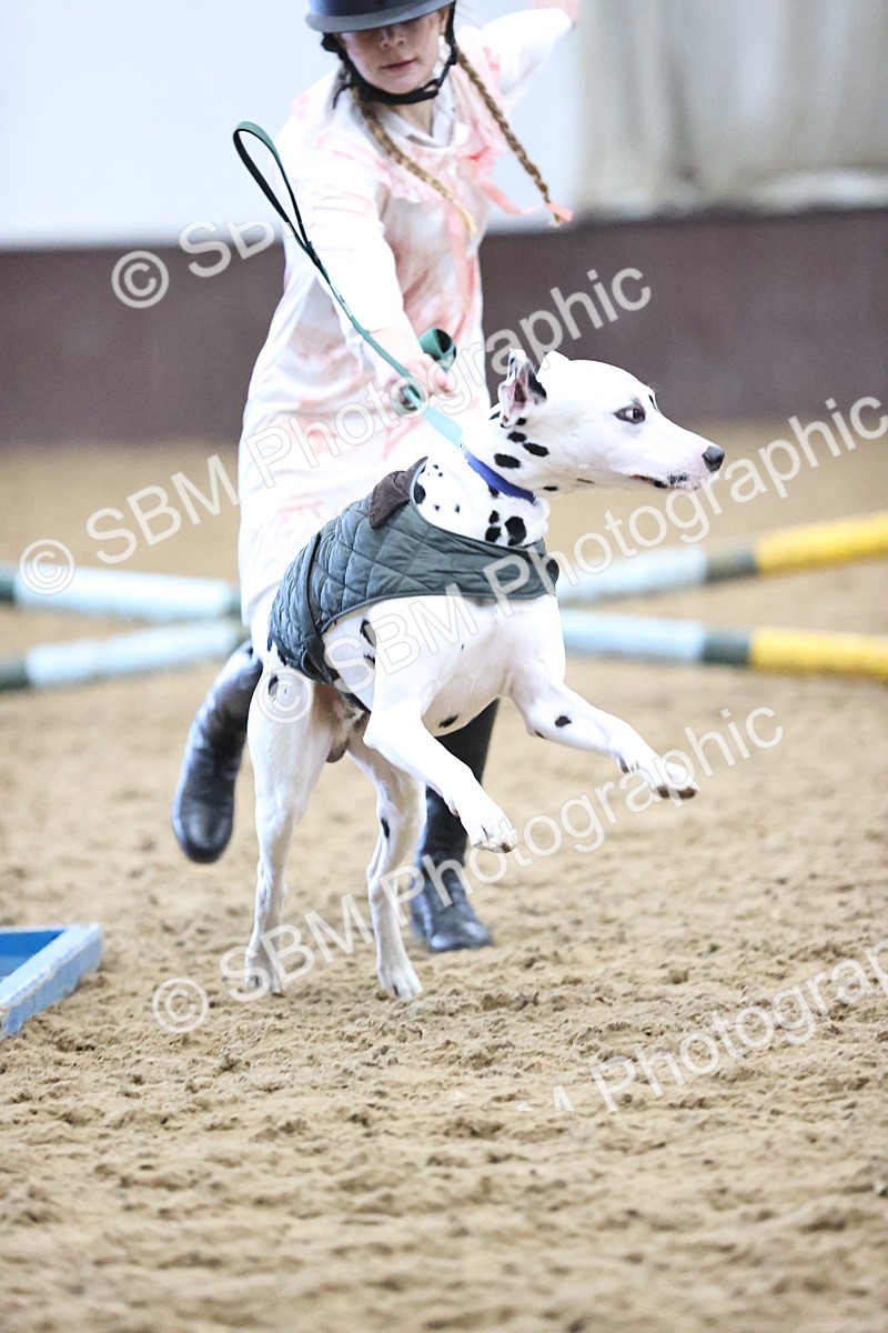 SBM_001494 - Class 3 - Horse & Hound 60cm