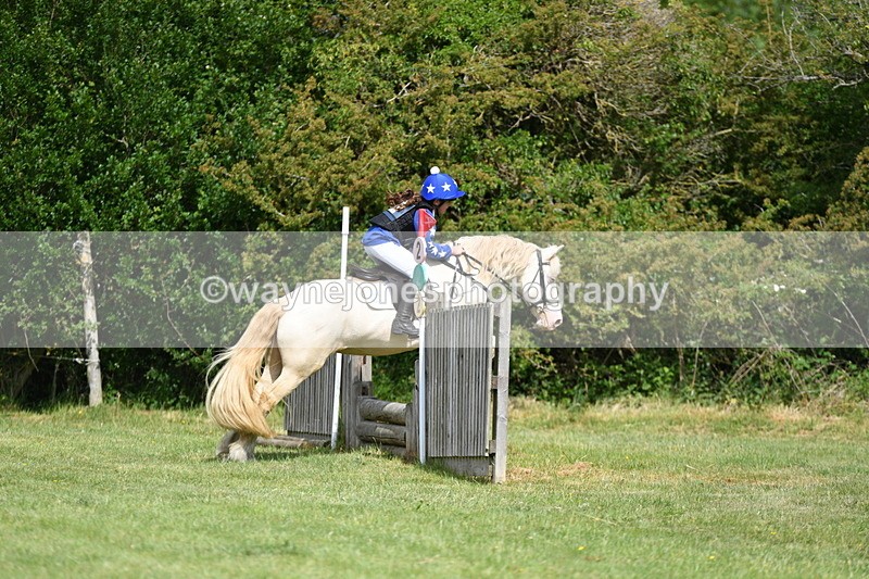 WJ5_2700 - Class 2 40cm