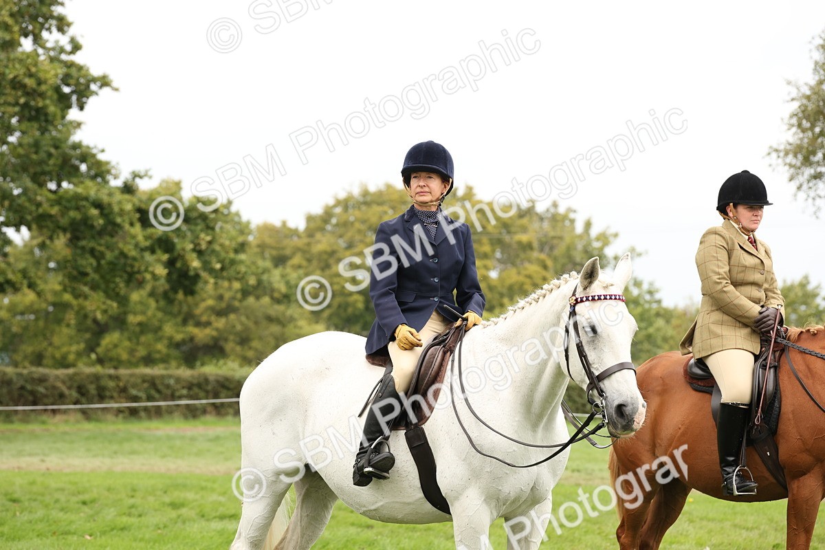 SBM_64306 - S65 - Riding Horse & Hack & Thoroughbred Ridden