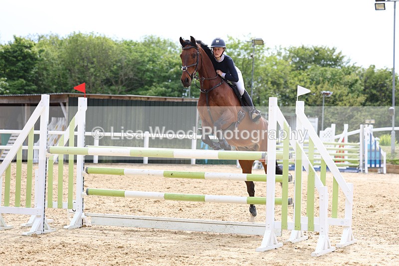 3E7A7679 - Class 8: Senior Foxhunter/1.20 open