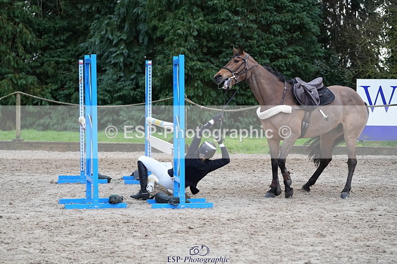 260208A-145007-02228 - 5. 1.10m Individual Horse