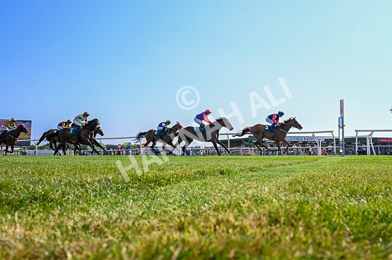 150726-Race 6-Our Absent Friends-4258 - Race 6 16.40pm Racing Again 22nd July Handicap