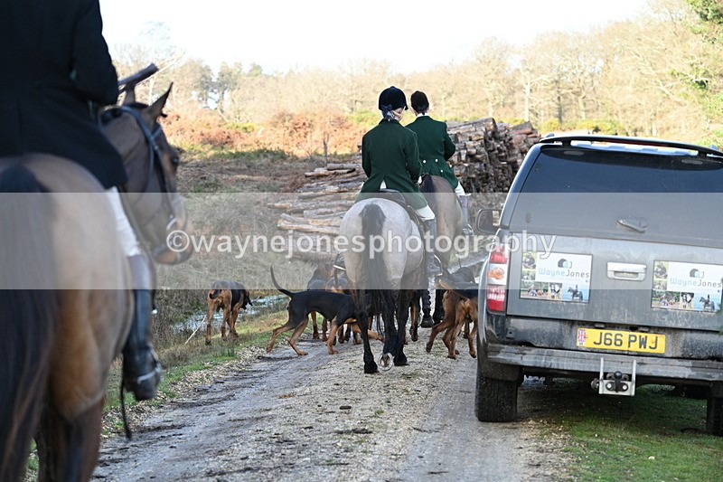 WJ7_7732 - Line 3 (no line 4 or 5)