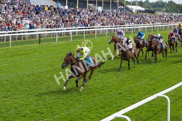 170524-Race 2-Botanical-2158 - Race 2 2.45pm Knights Solicitors Handicap