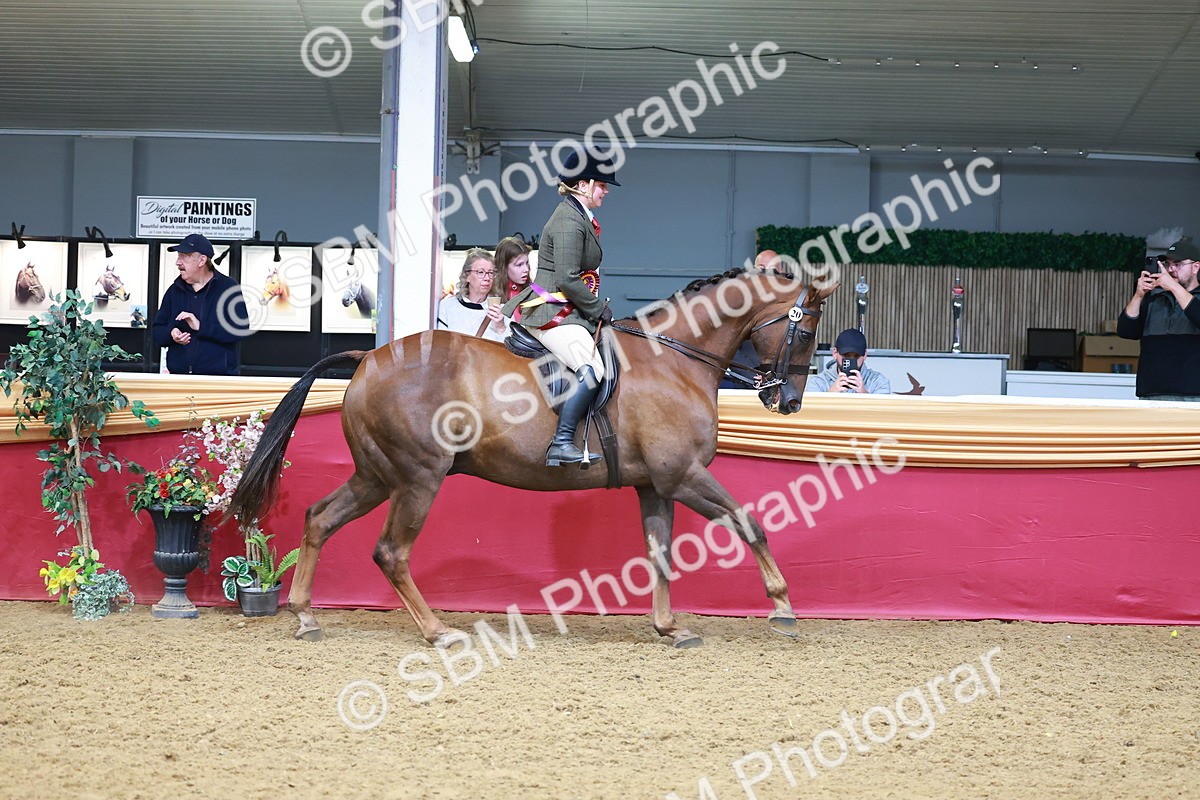 SBM_09885 - Class 102 - HOYS Veteran Qualifier - Ridden Veteran
