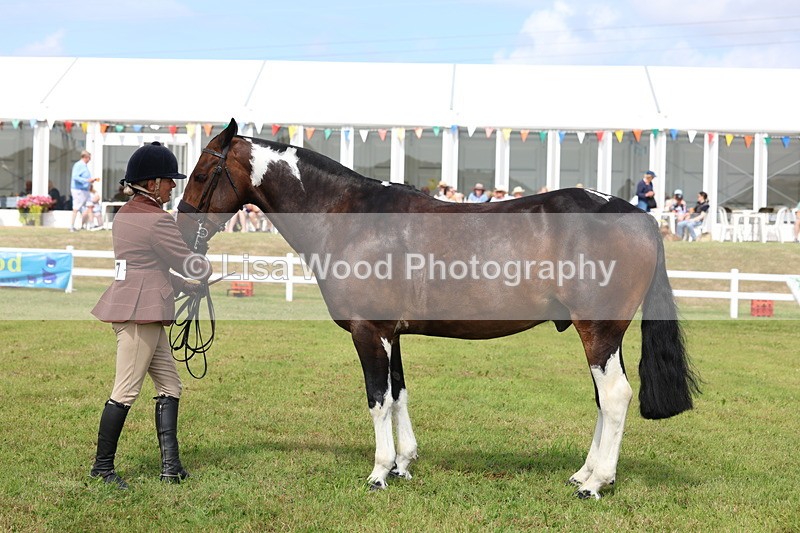 3E7A0098 - Class 5: Rising Star Lightweight/Heavyweight Cobs