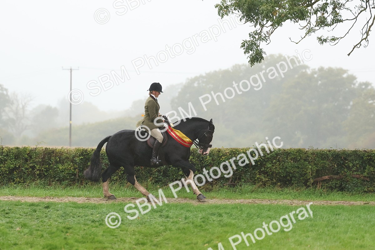 SBM_73213 - Super Supreme Championship(Sun)
