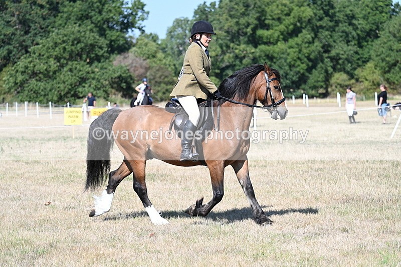 WJ7_3768 - Class 9 Mountain & Moorland Ridden