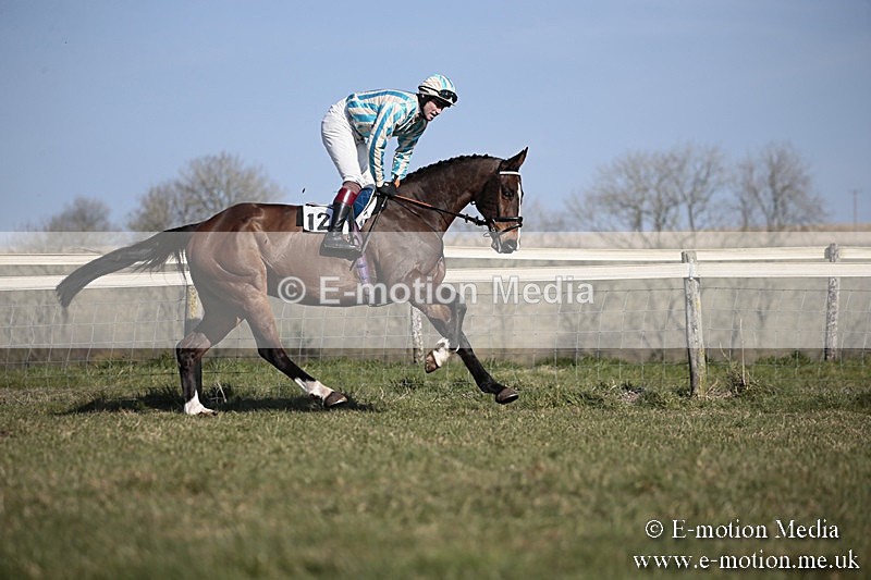 PtP 240218 234 - Vine & Craven Hunt Point-to-Point Barbury racecourse 24/02/18