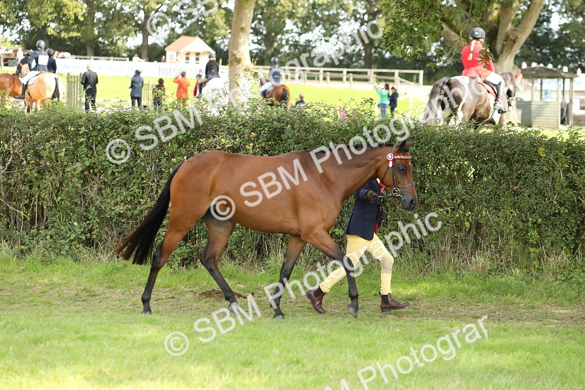 SBM_67747 - S39 - Junior Handler 8  Years & Under