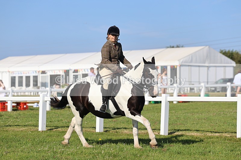IMG_1495 - Class 30: Ridden Native/Trad Coloured Pony