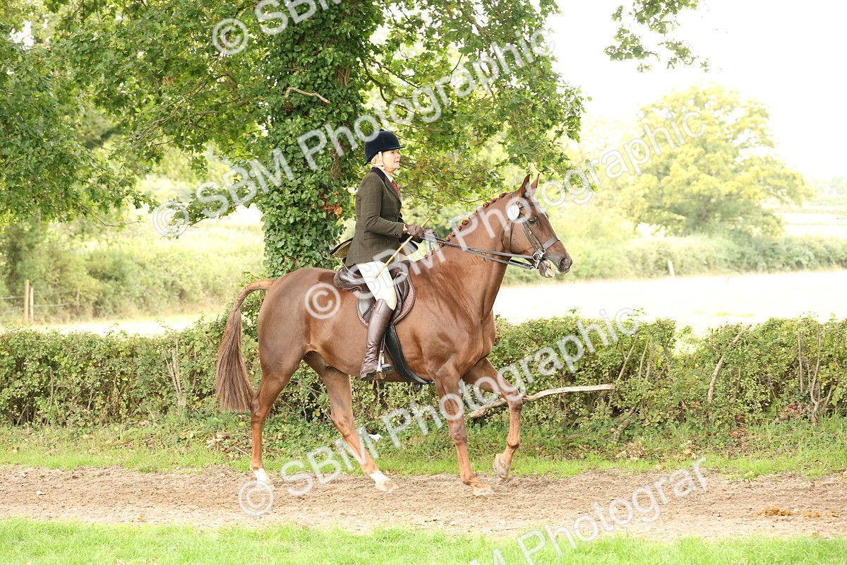 SBM_66298 - S66 - Hunter Ridden
