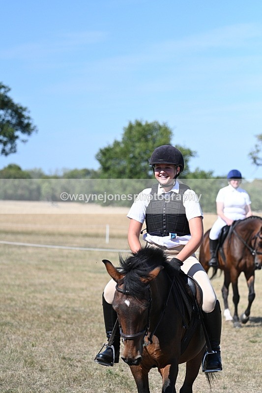 WJ7_1516 - Class 42 Most Handsome Gelding
