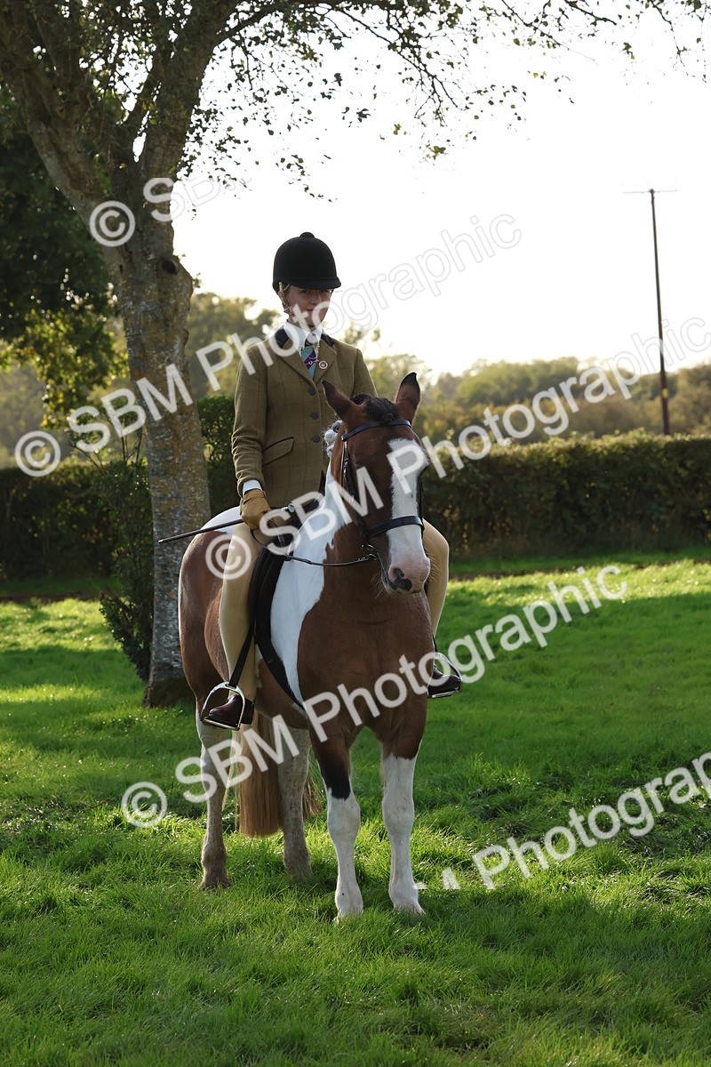 SBM_52622 - S13 - Pony Club Pony