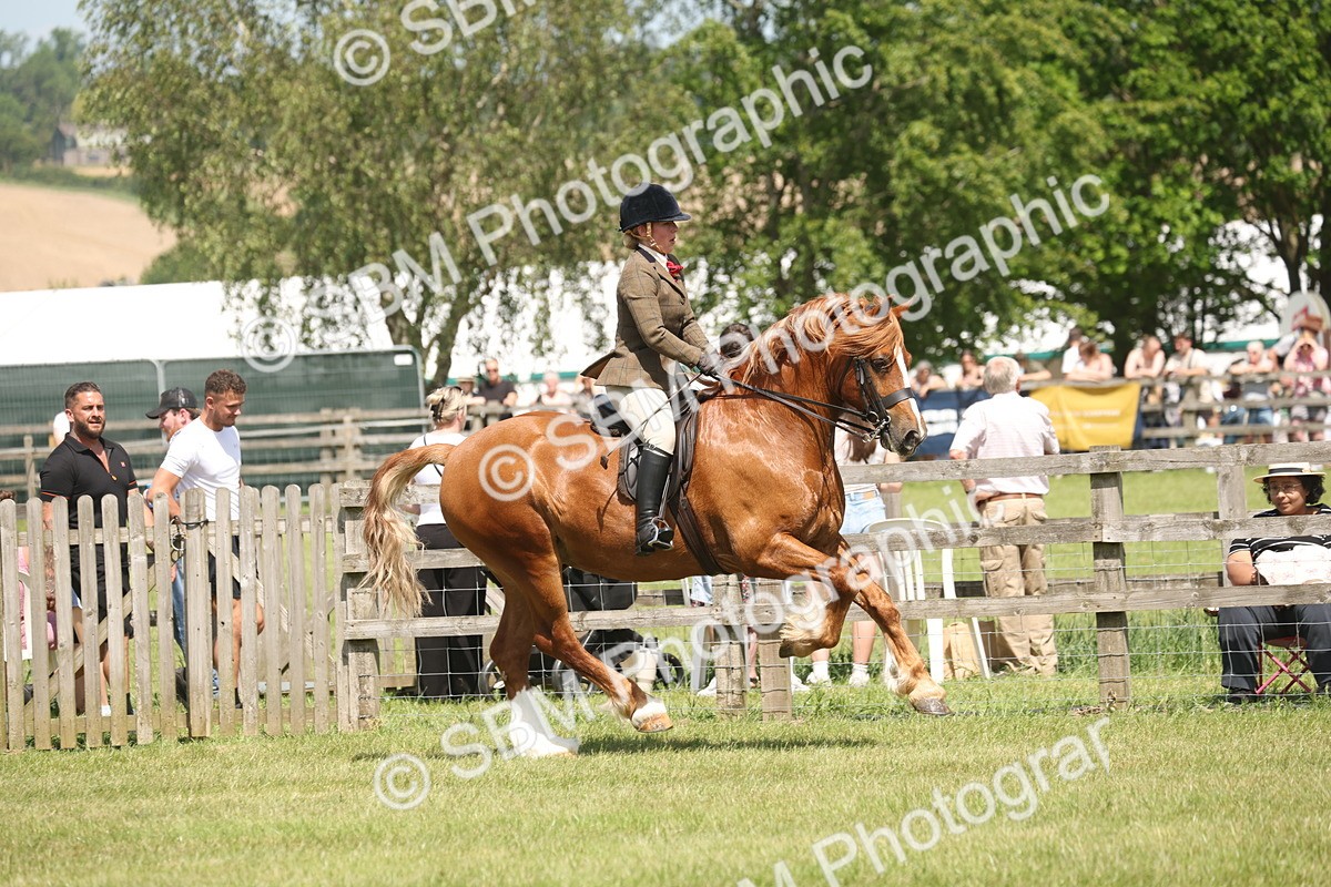 SBM_06966 - Class 26-30 - Mountain and Moorland Ridden