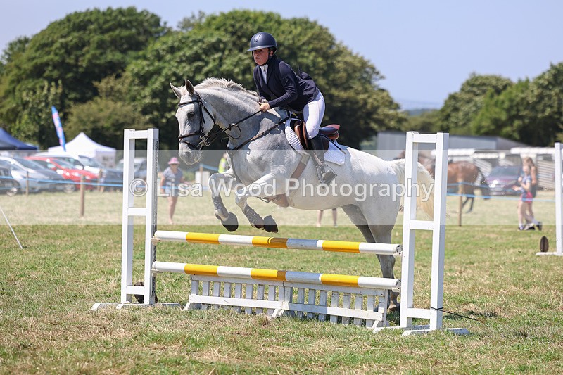 3E7A4384 - Class 10: Senior British Novice/90cm open