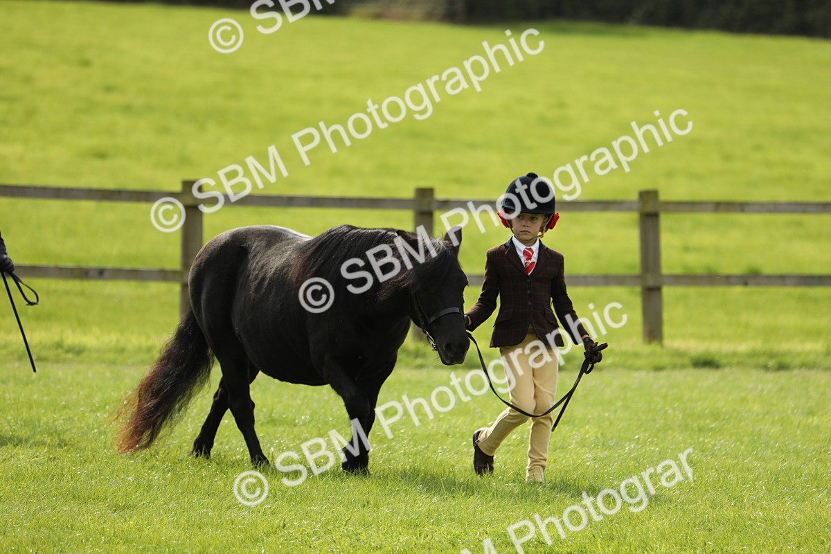 SBM_67690 - S39 - Junior Handler 8  Years & Under