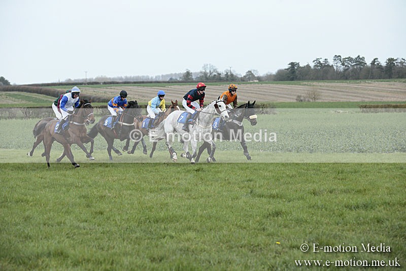 PtP 230319 82 - VWH Hunt Siddington Point-to-Point Racing 23/03/19
