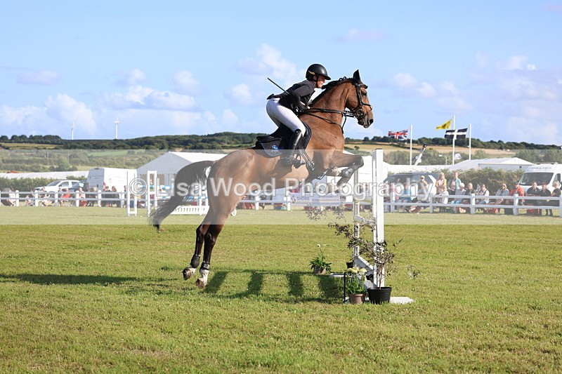 3E7A4299 - Class C: Showjumping Senior Foxhunter