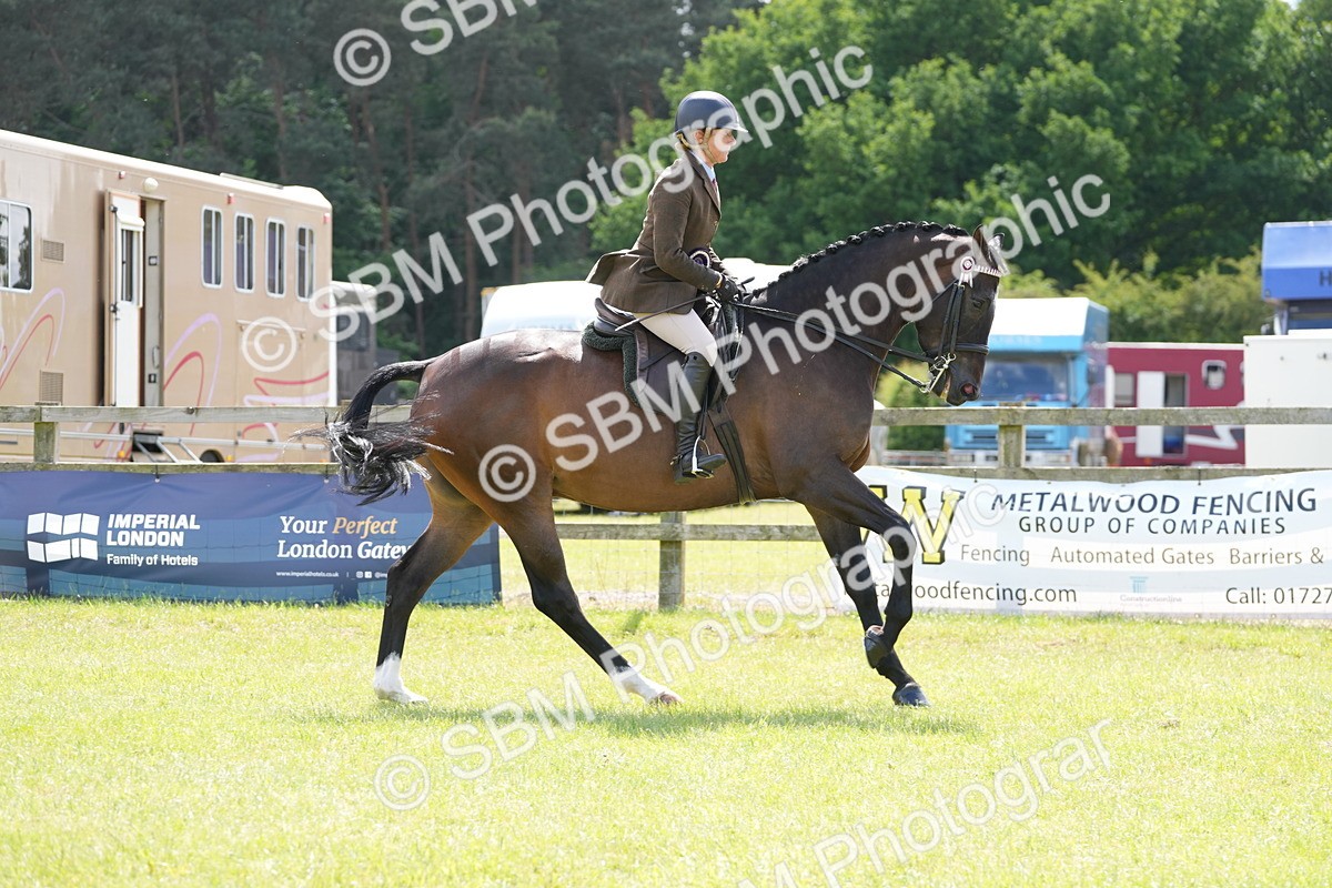 SBM_16272 - Class 105-106 - RIHS Riding Horses