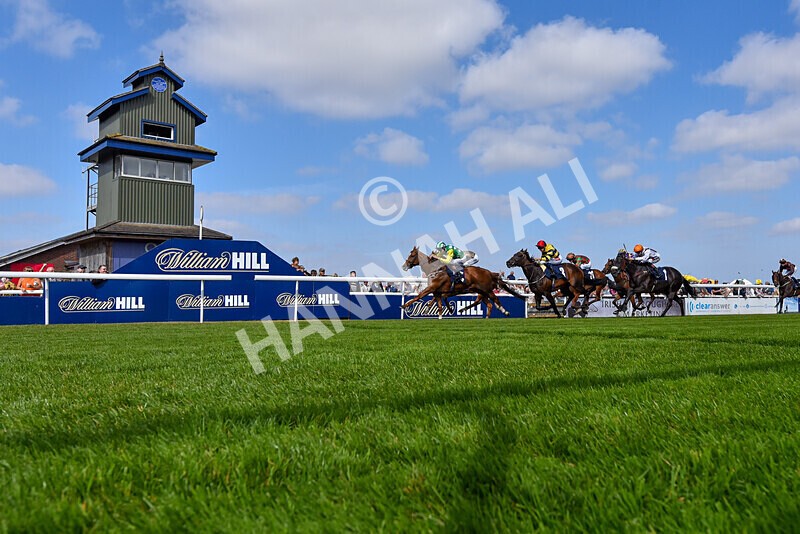 310824-Race 3-Frank The Spark-5929 - Race 3