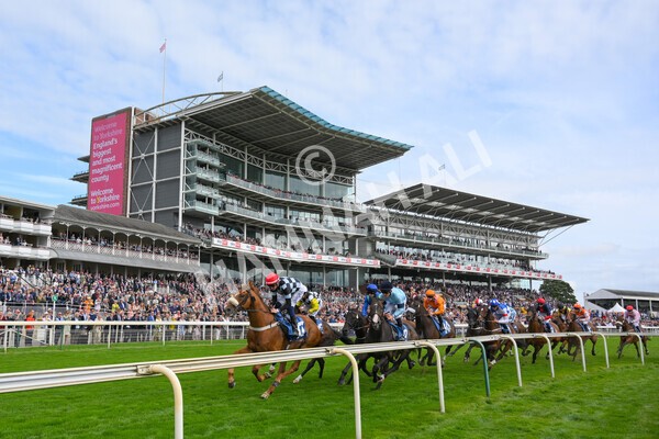 yr18082021r5-41 - Race 5 4.10pm Sky Bet Stakes