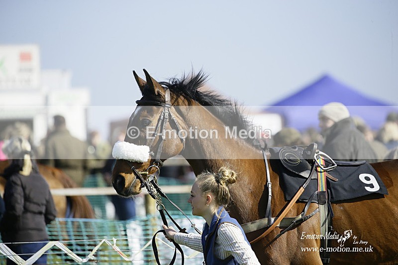 PtP 190322 447 - Wilton Hunt PtP Milborne St Andrew 19/03/22