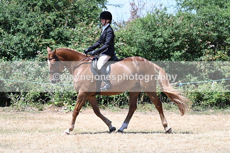 WJ7_2757 - Class 7 Riding Club Show Horse