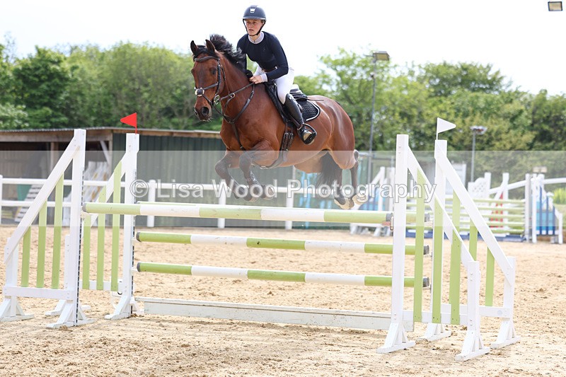 3E7A7682 - Class 8: Senior Foxhunter/1.20 open