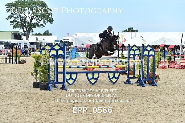 BPP_0566 - RHS 2019 Selection - *Just some random spectator shots so Lucky Dip if you are there!