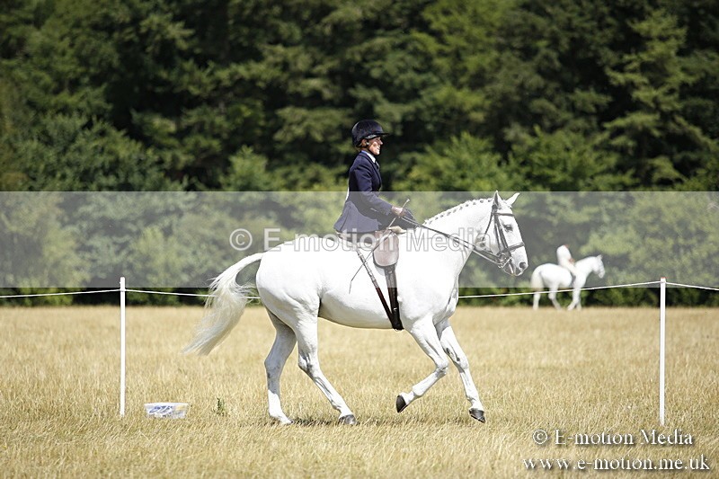 _C7A0236 - Side Saddle Classes BVRC Show 2018