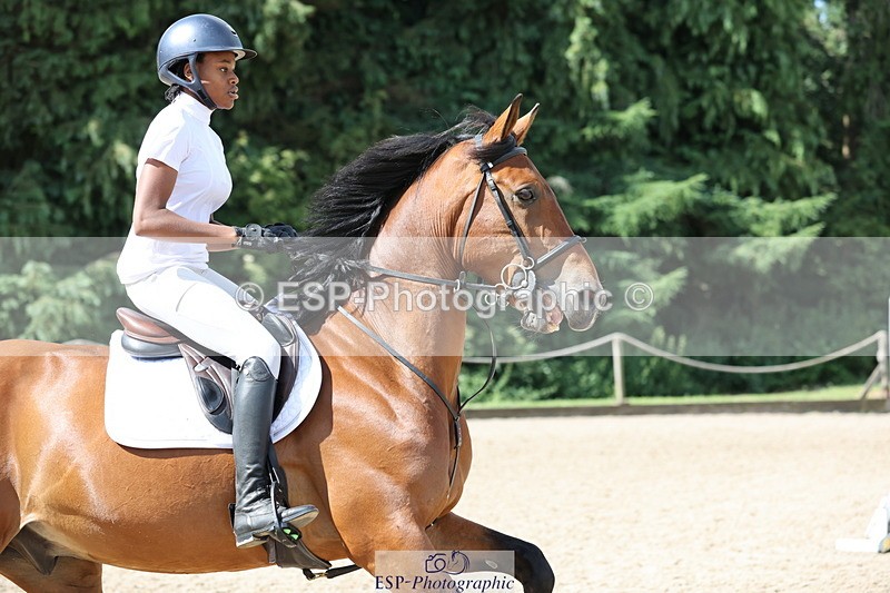 250703A-101212-00884 - Cls 6 Snr British Novice and 90cm Open