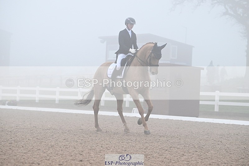 240217A-131410-02773 - 271-Tom.Carter-Rubin.Regal