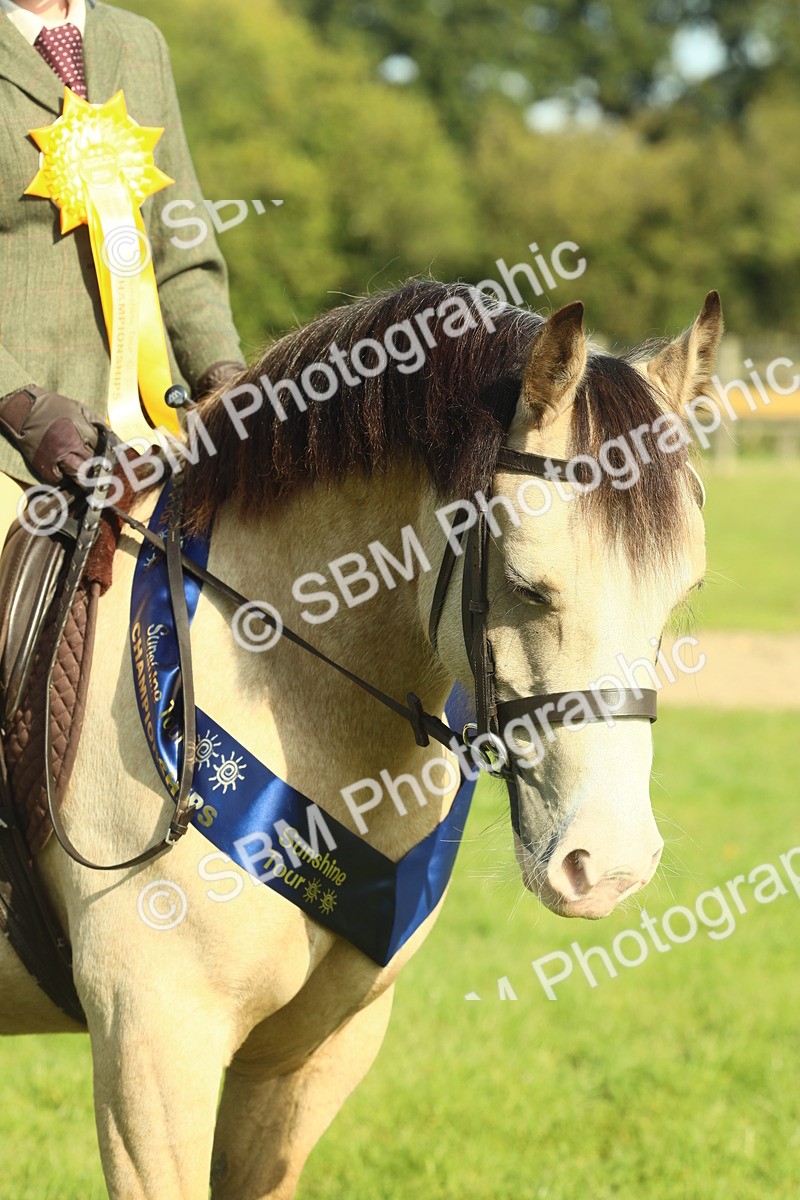 SBM_61106 - Starter Supreme Championship