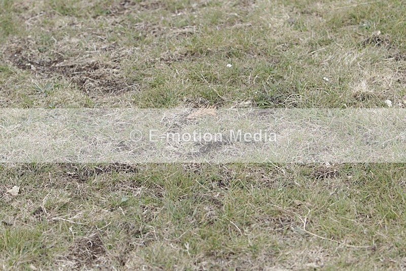 BVHT 140517 I-840 - Class 1 SJ Intermediate 14/05/17