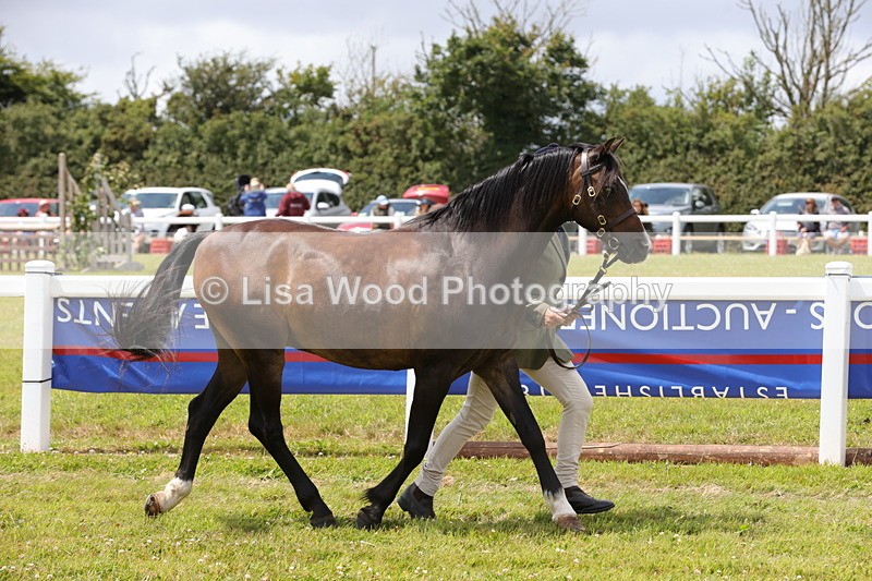 1X9A4713 - Class 35: Veteran In Hand