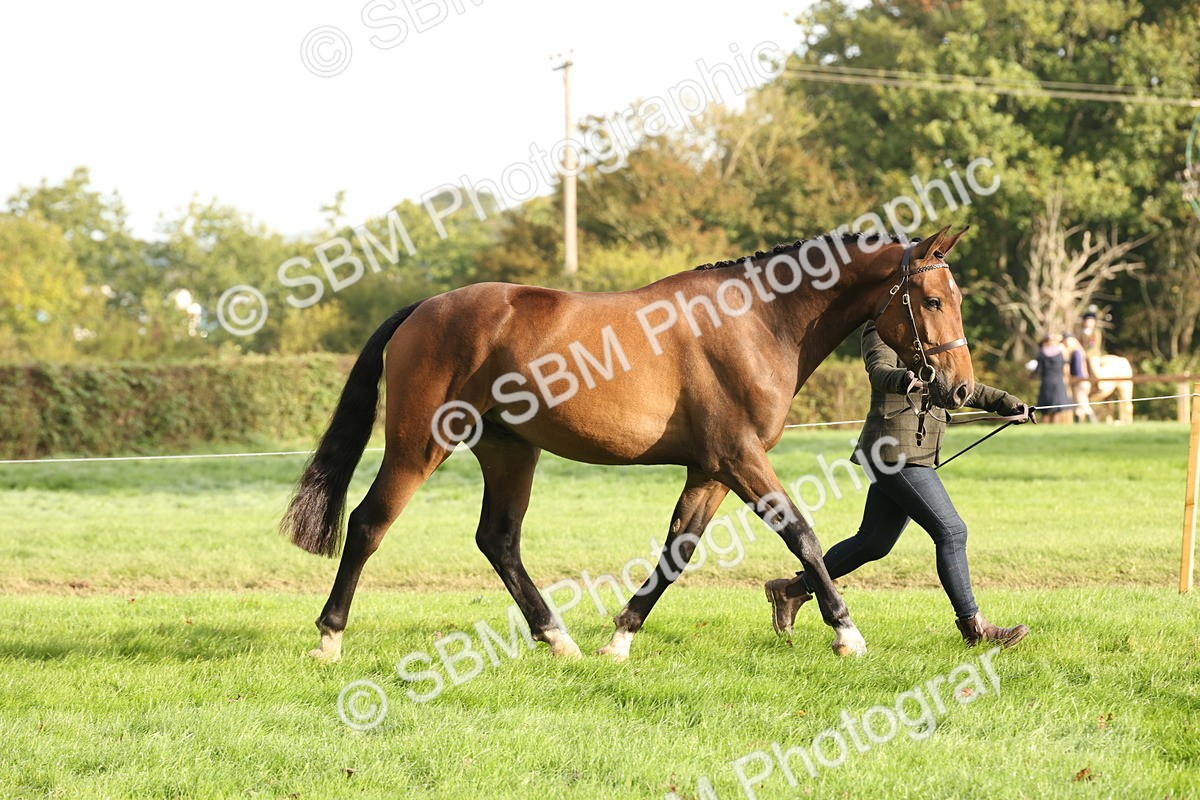 SBM_54683 - S53 - Hunter In Hand