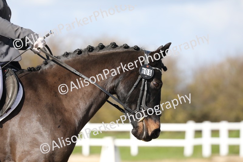 20260314-4850 - CT6 - Elementary 1