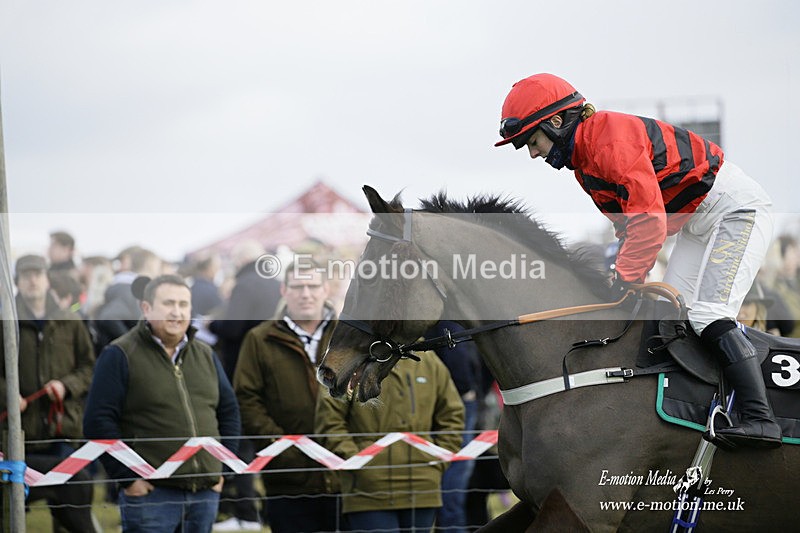 PtP 300122 458 - South Dorset Hunt - Point-to-Point Races 30/01/2022