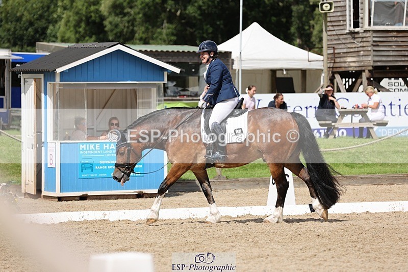 240721-152216-09701 - 300-Alison_Crimp-Crwys_Beau