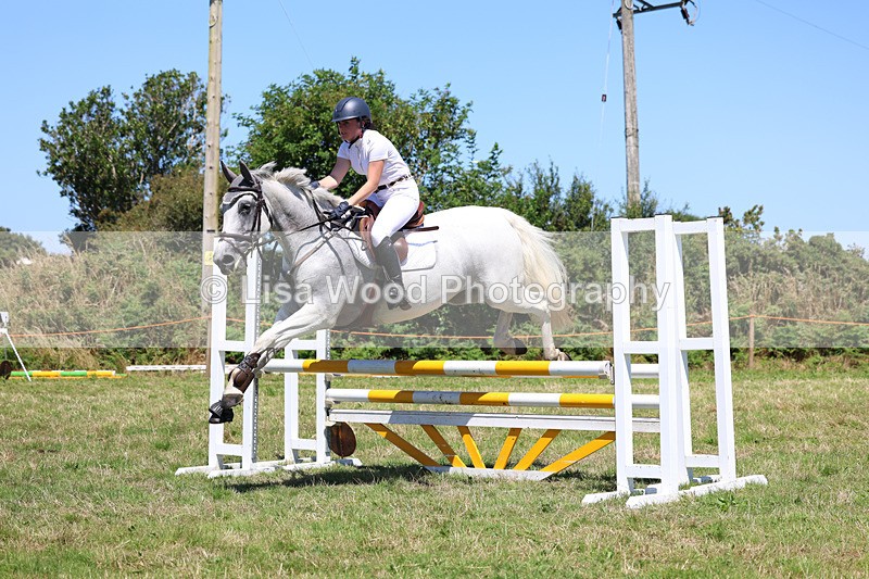 3E7A5619 - Class 9: Senior British Novice/90cm open