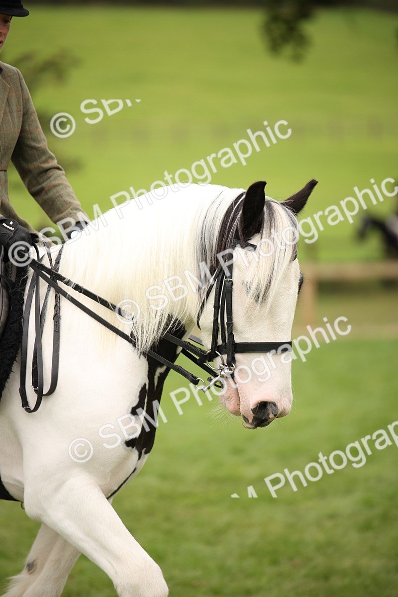 SBM_73539 - S68 - Traditional Cob Ridden