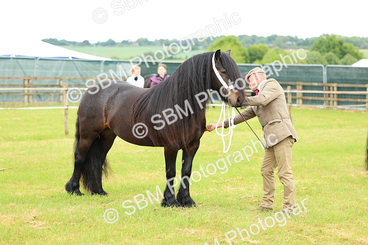 SBM_00545 - Class 58-67 - M&M Non Welsh Pony In hand